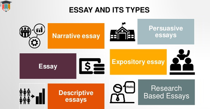 Essays and Writing Strategies